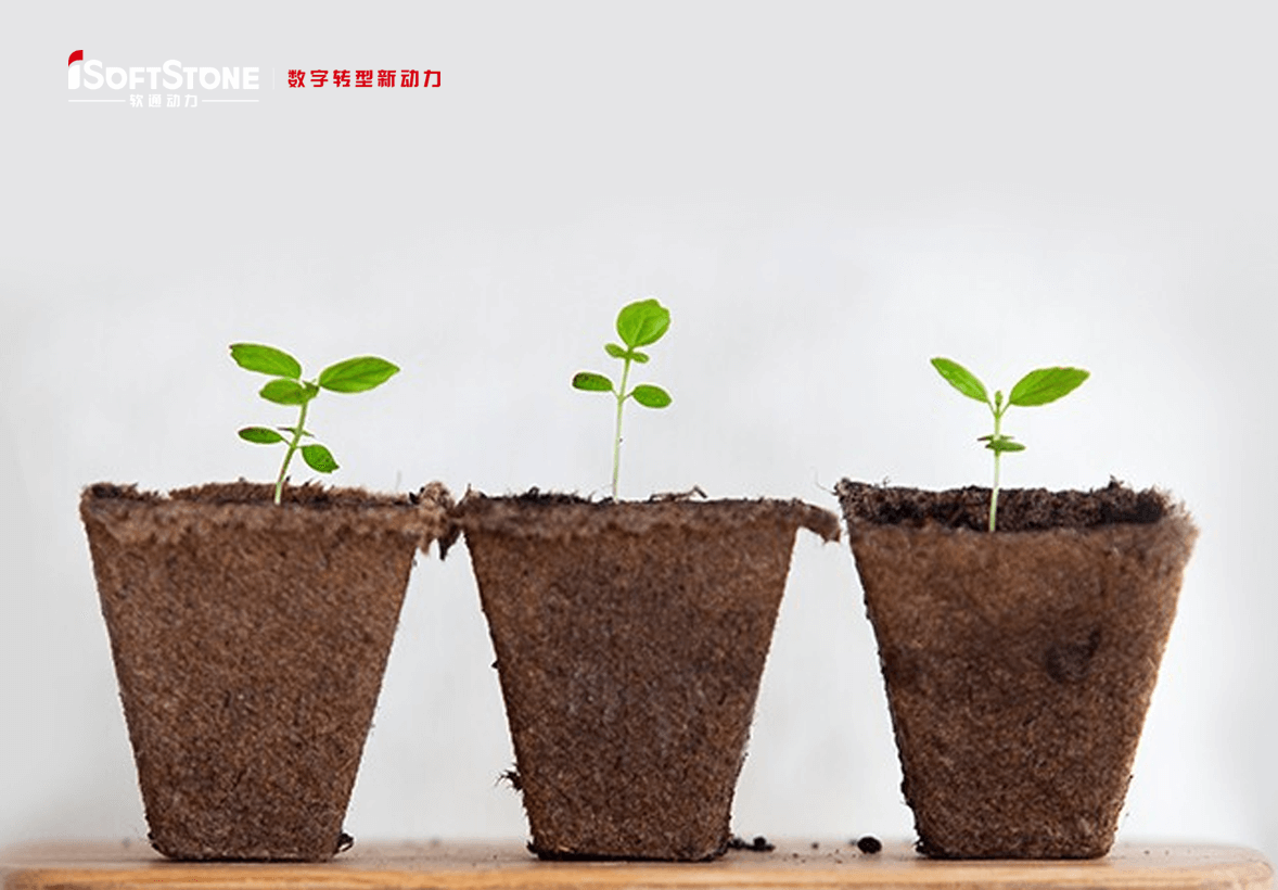 学術的継続可能の革命精神で地方の子供たちに愛を渡す——iSoftStoneは再び公共福祉教育を支援する。。。